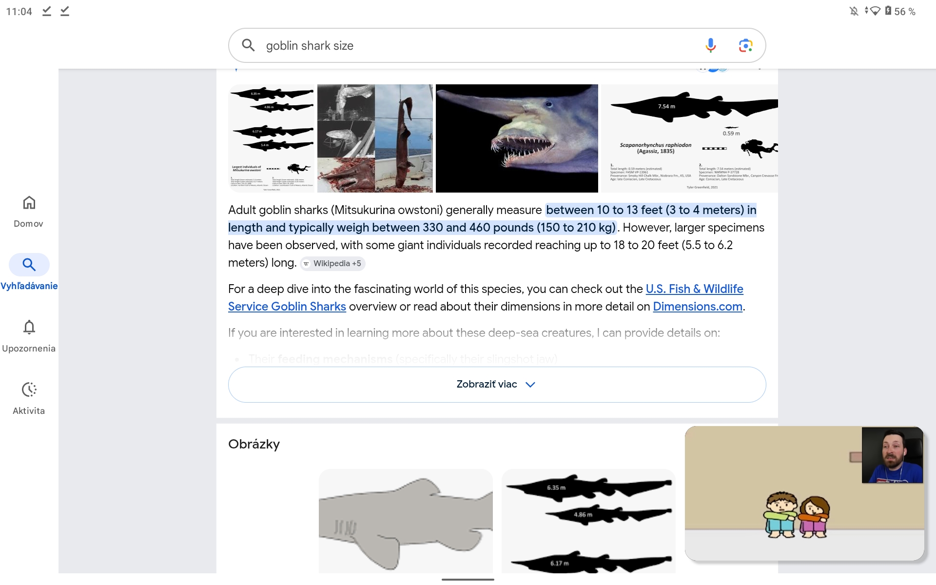 Sharks