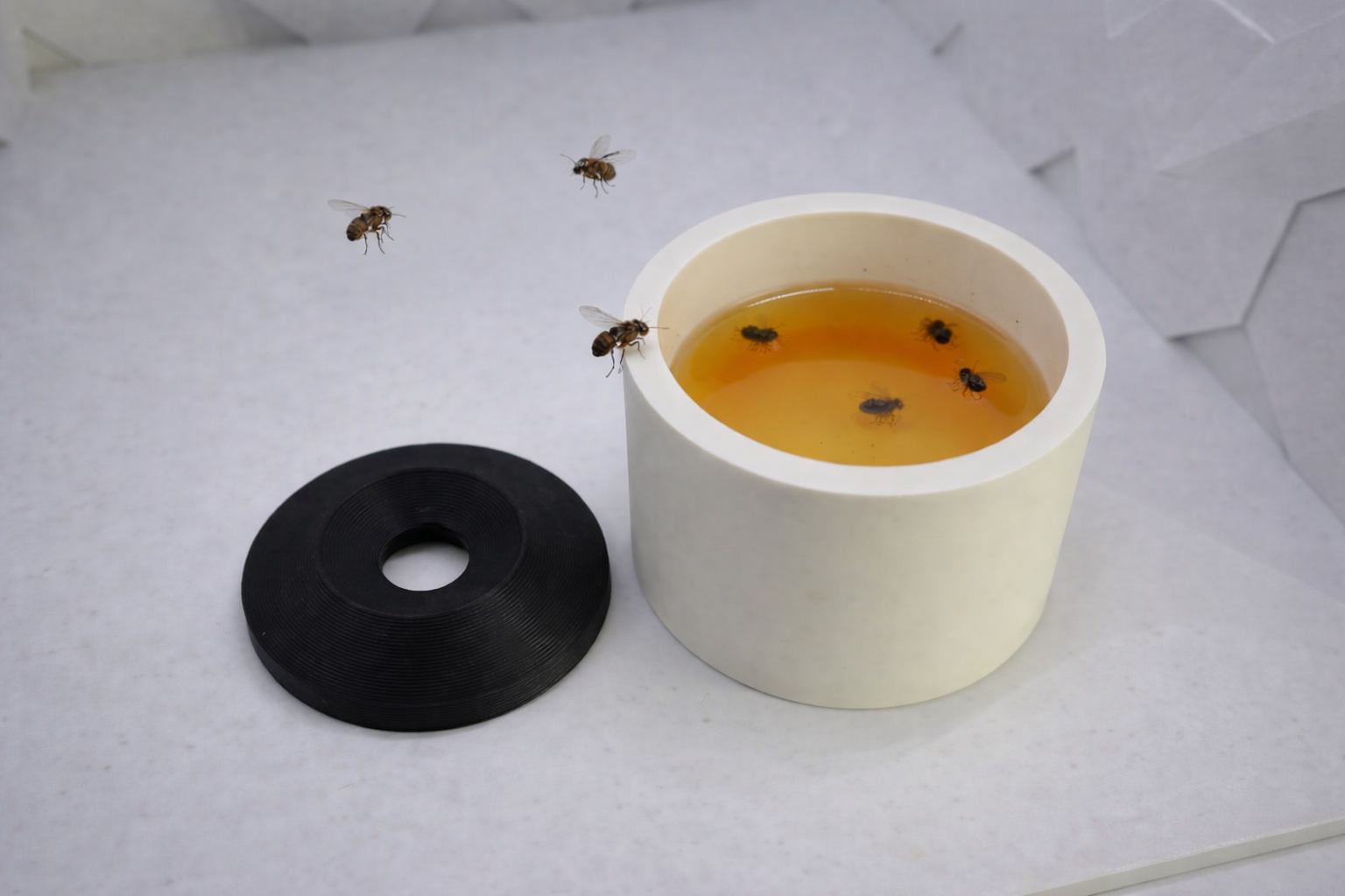 Effiziente Fruchtfliegenfalle mit Deckel – wiederverwendbar & einfach zu reinigen 3D model by AlphaPrint