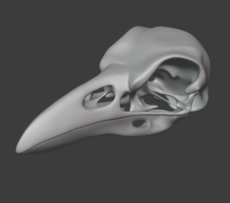 Raven skull no supports