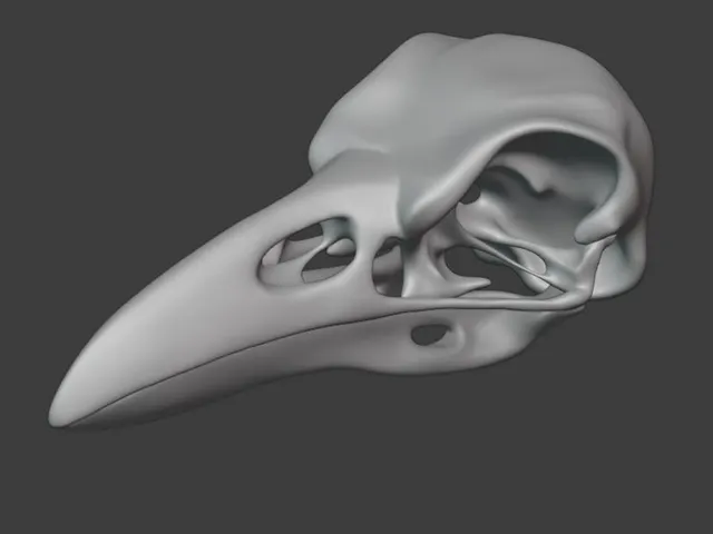 Raven skull no supports