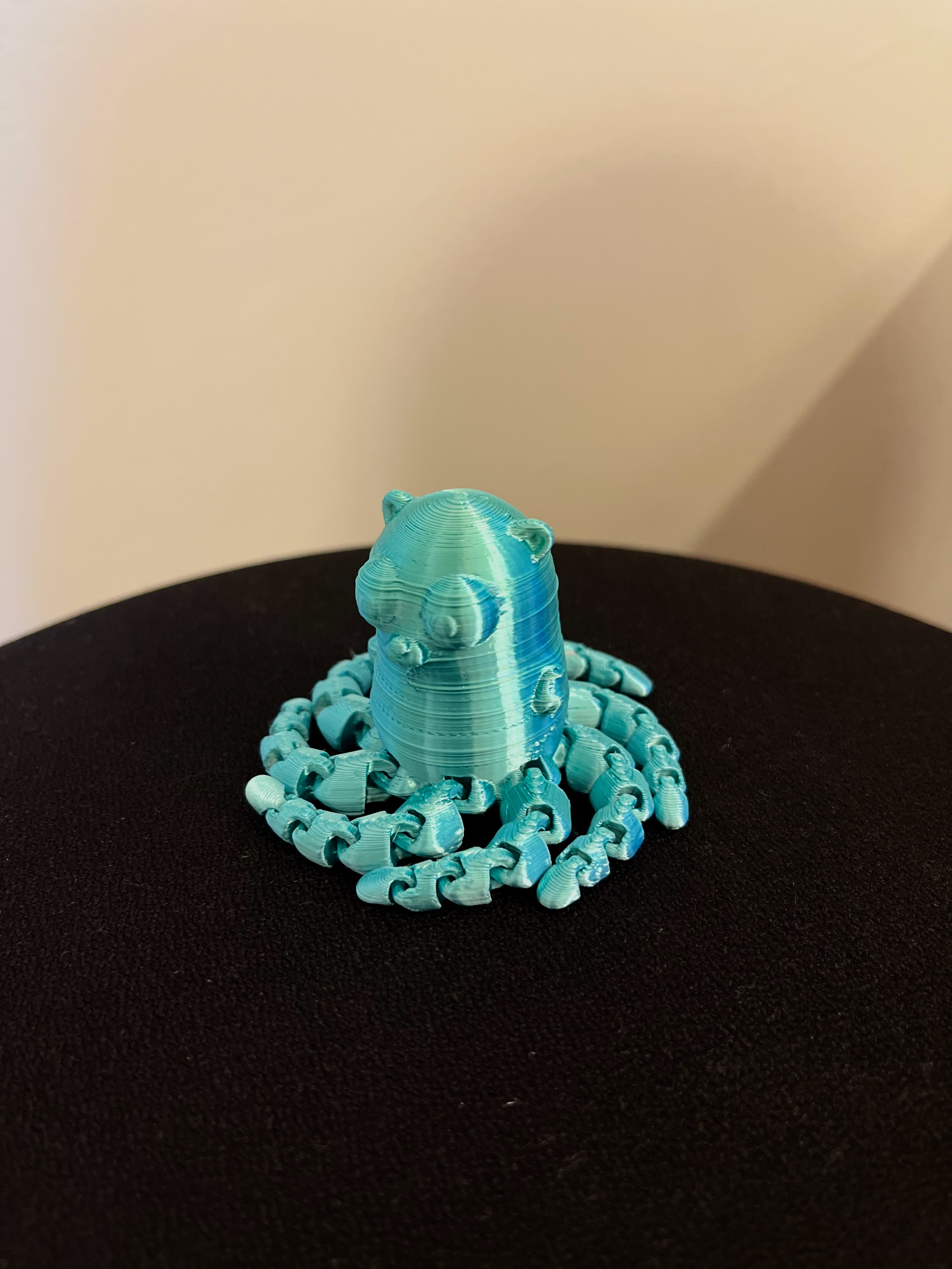 Gopher Octopus