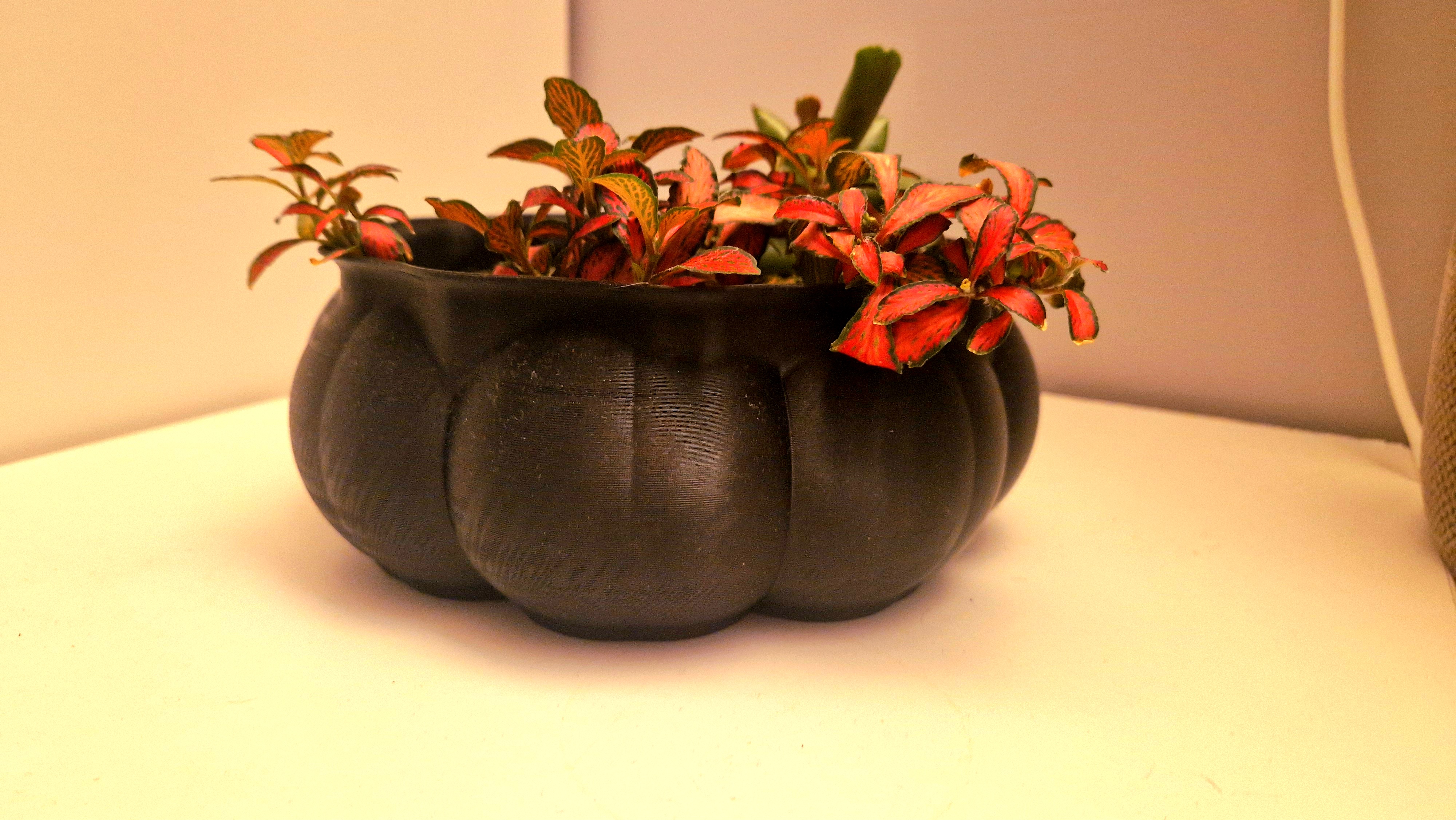 Flower pot