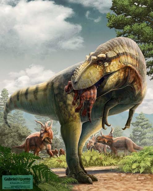 Lythronax 3D model