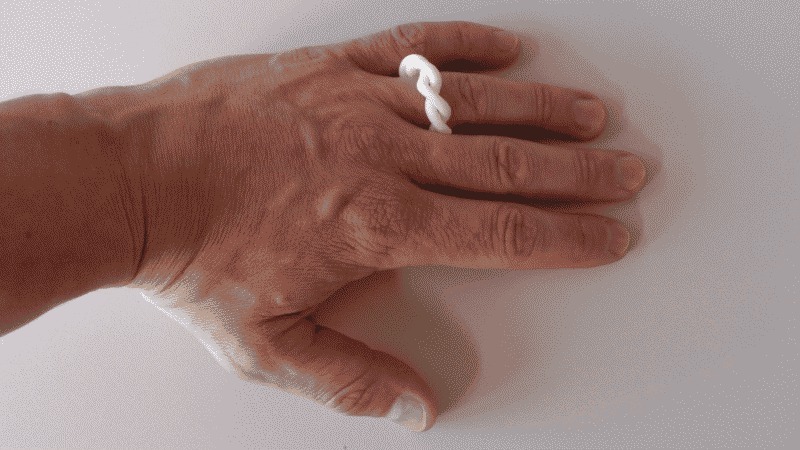 Entangled Double Spiral Ring
