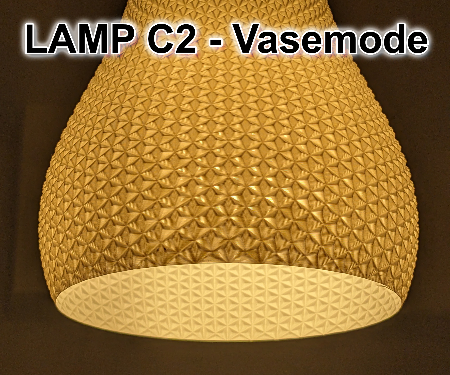 LAMP C2 / Vase - Vasemode