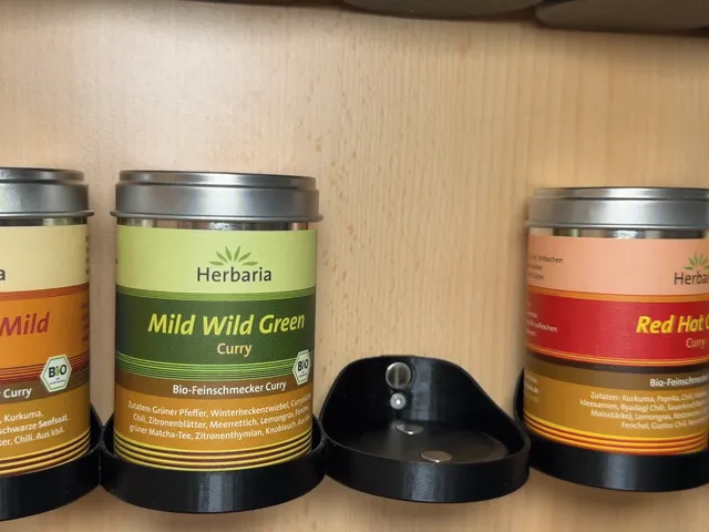 Magnetic Spice Tin Holder / Gewürzregal (magnetisch)