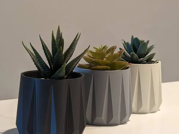 Minimalist Succulent Planters - Geometric
