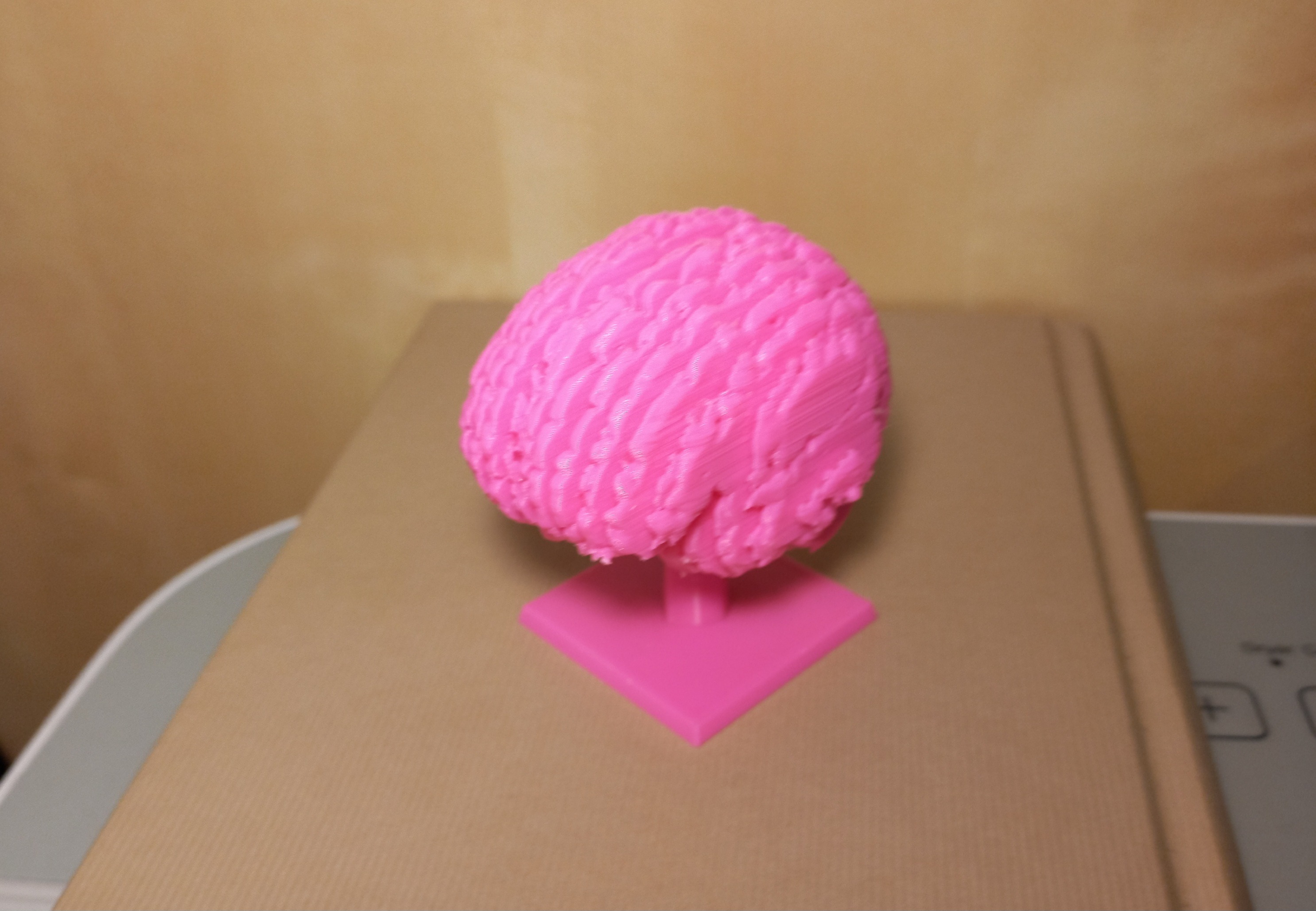 Sliced Brain + Stand — miniatura 5