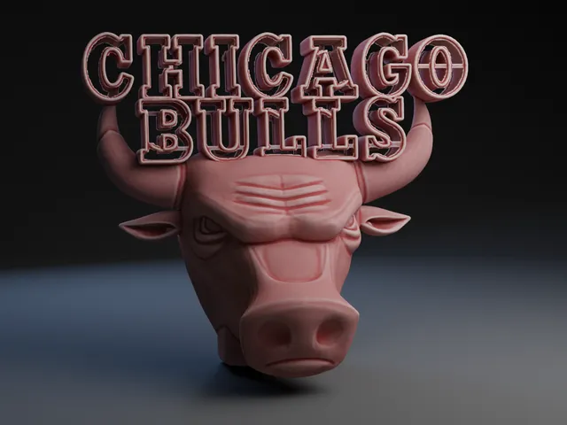 Chicago Bulls