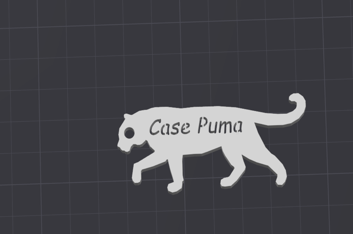 Klicenka Case Puma