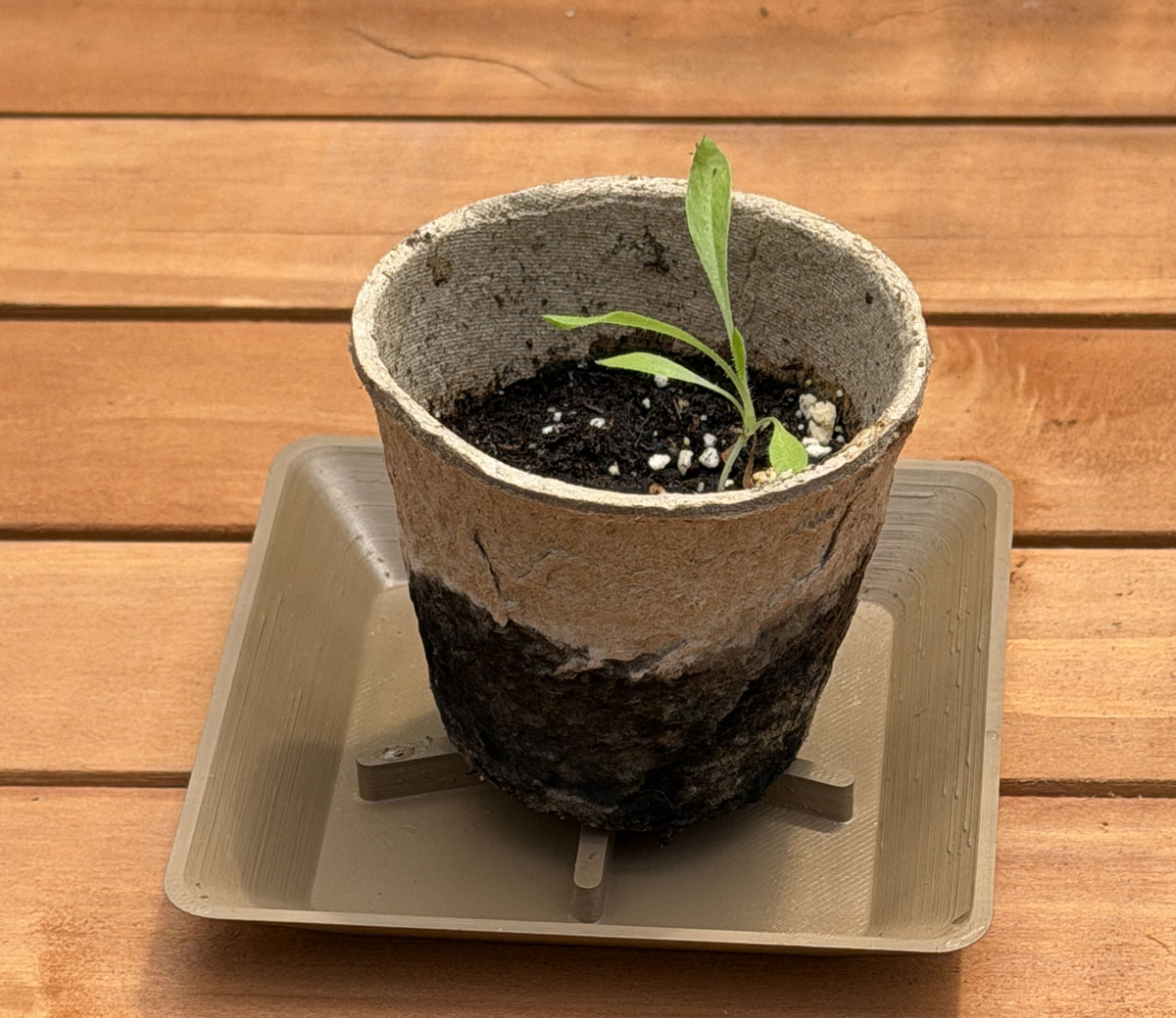 Miniatura 9 do modelo 3D Parametric Planter Saucer