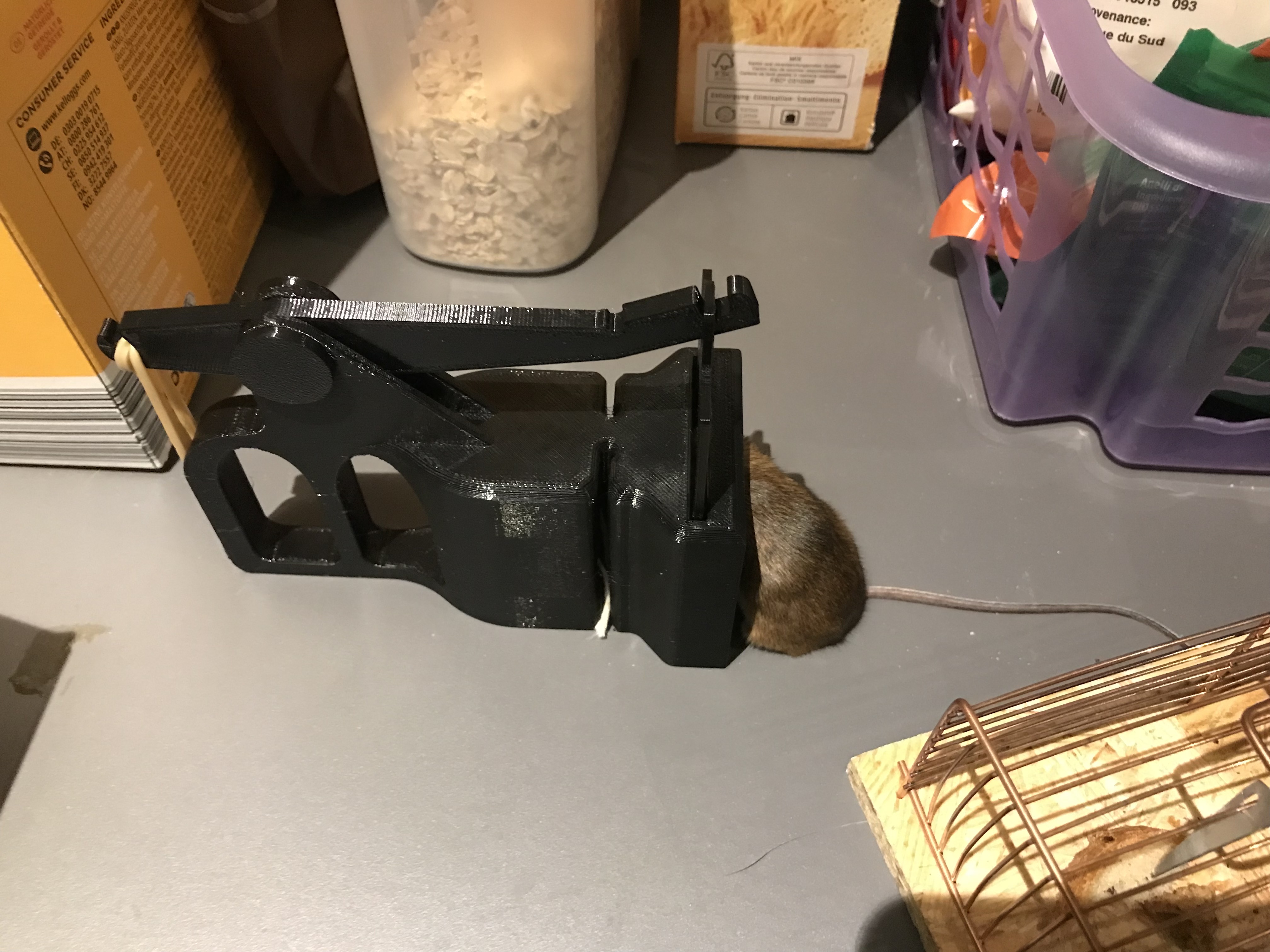 Mouse Trap With Bait Pocket By Yotus Download Free STL Model mouse-trap-with-bait-pocket-by-yotus-download-free-stl-model