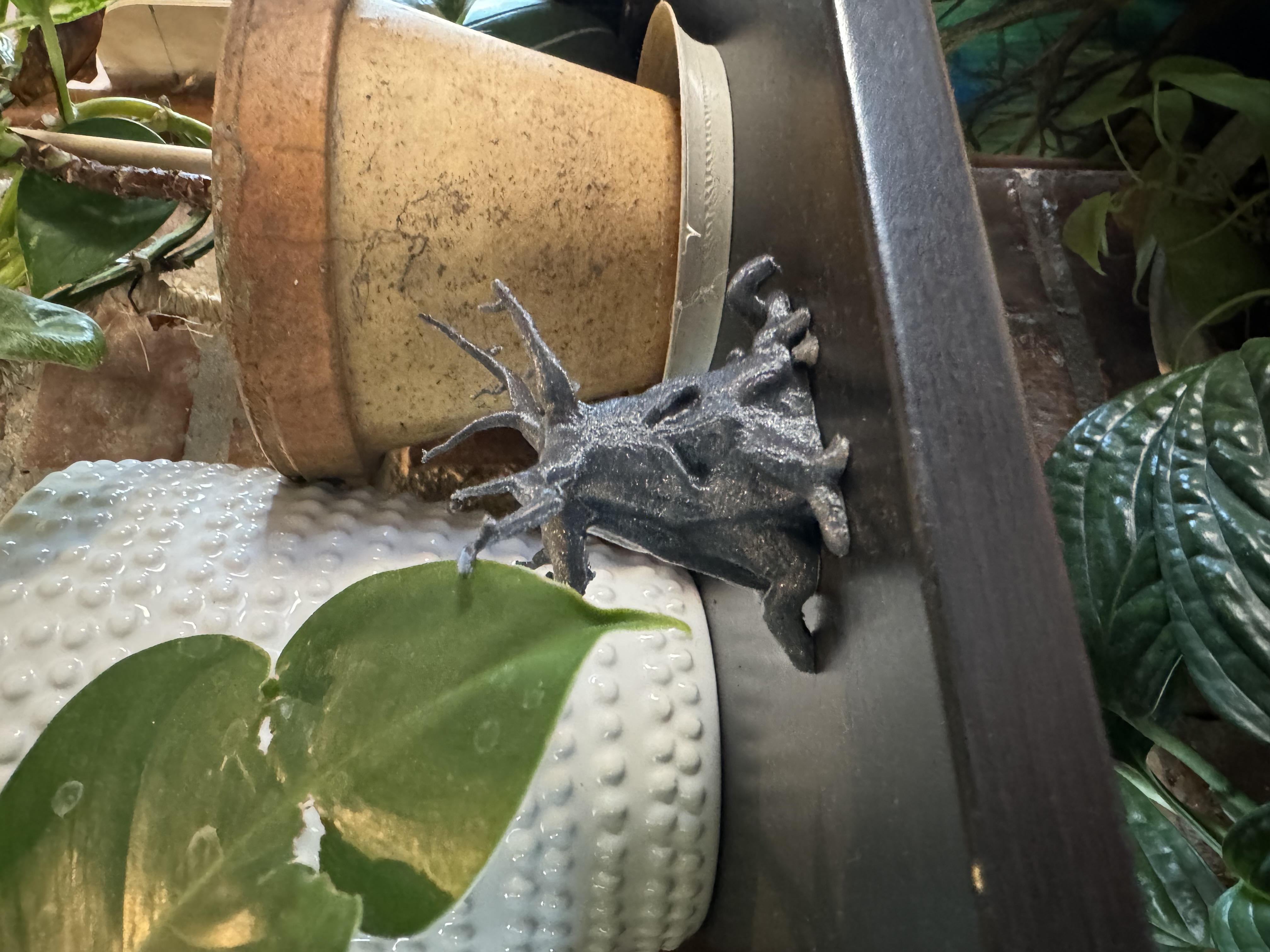 Miniatura 2 do modelo 3D Deku tree ring display
