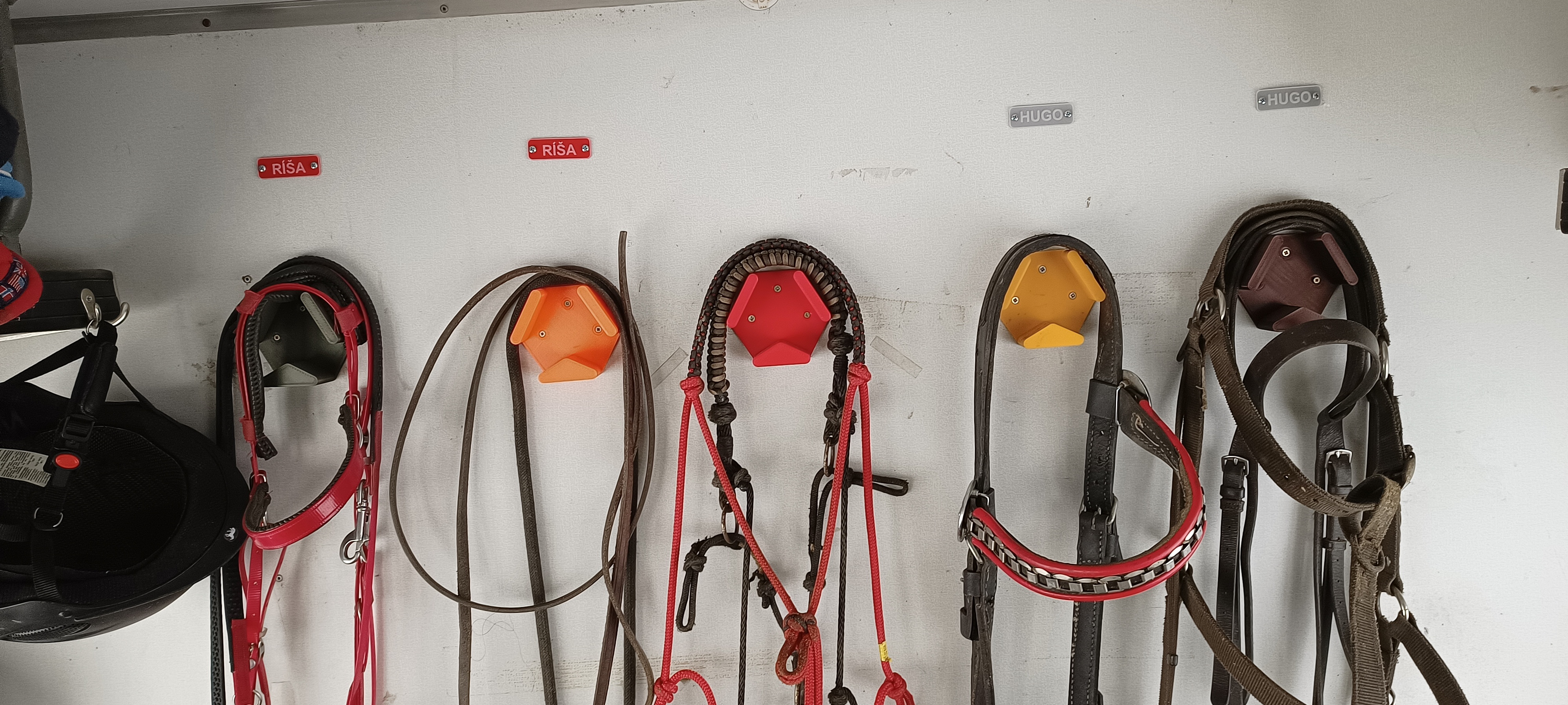 Horse bridle holder