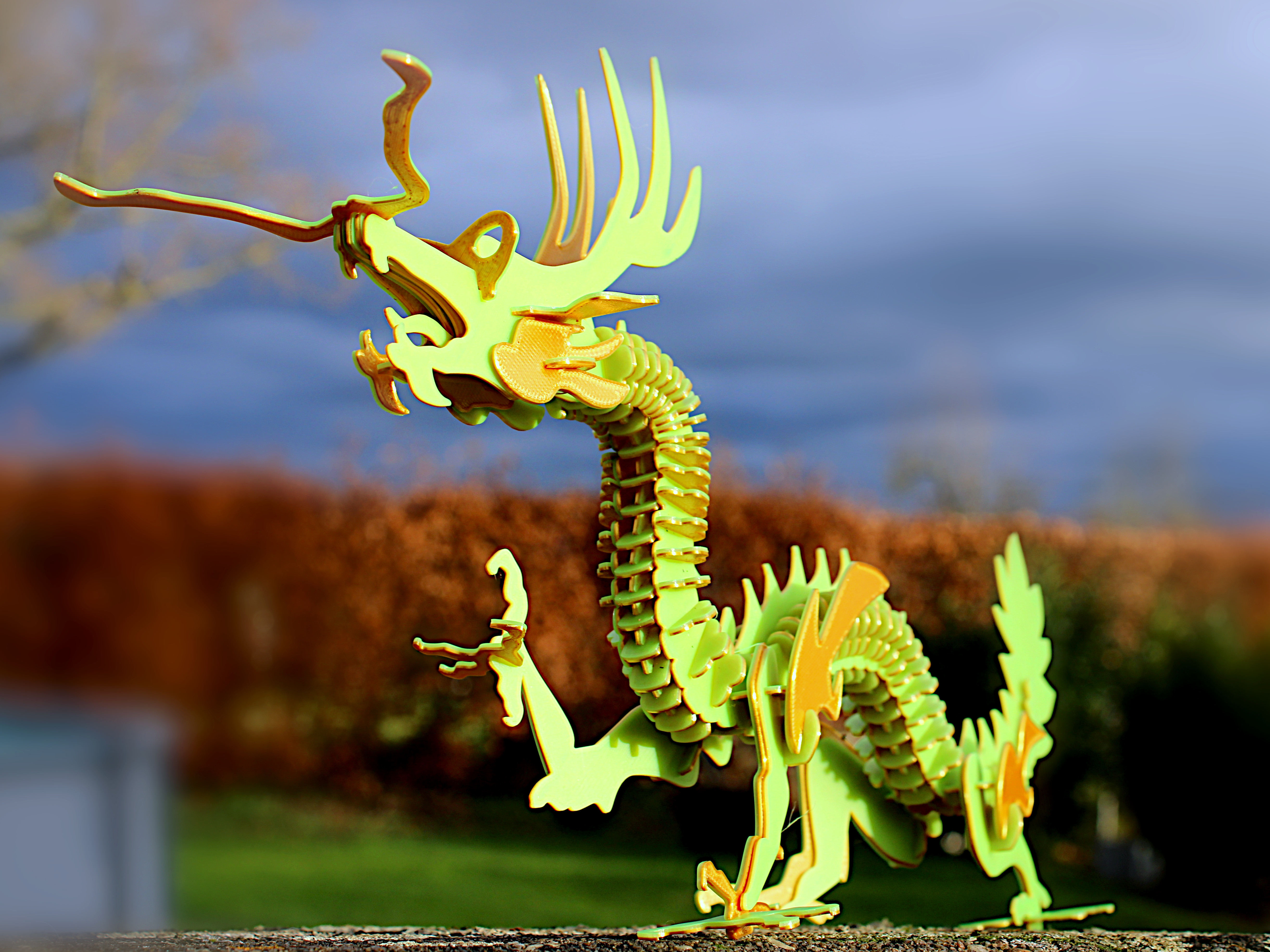 Wood Dragon 3D-Puzzle Gift Kit Card
