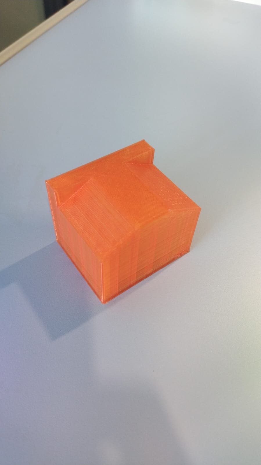 figura 21