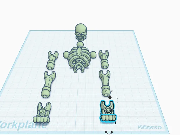 Skeleton baboon