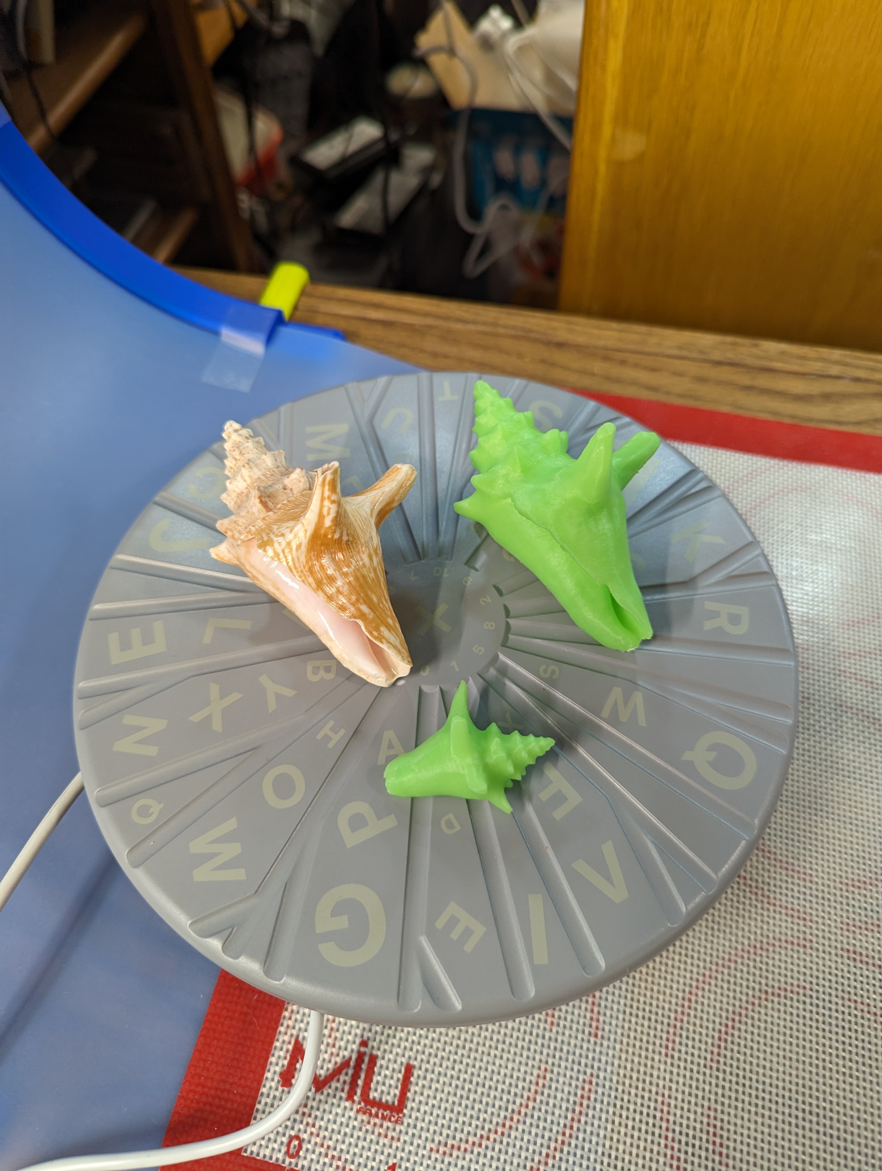 Miniatura 3 do modelo 3D Scanned Seashell