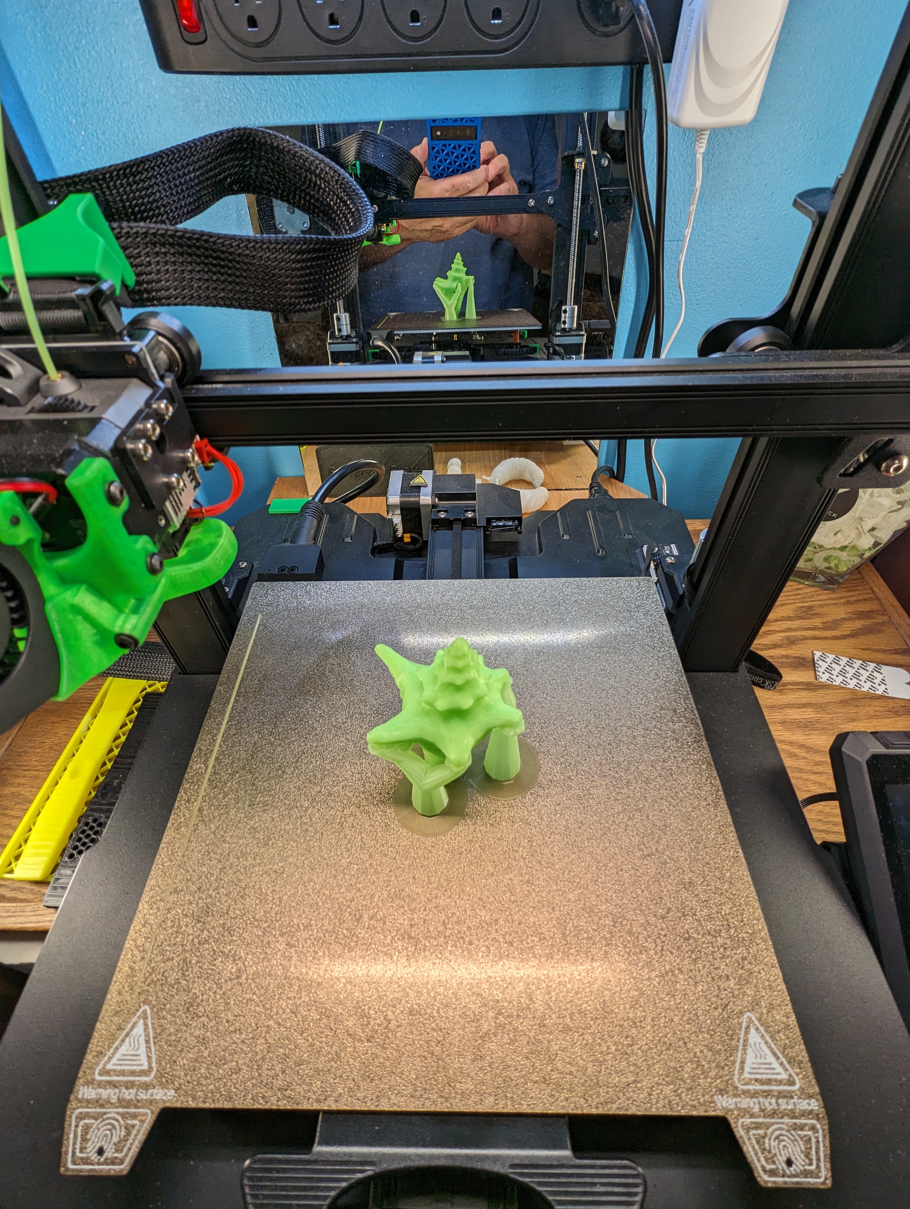 Miniatura 2 do modelo 3D Scanned Seashell