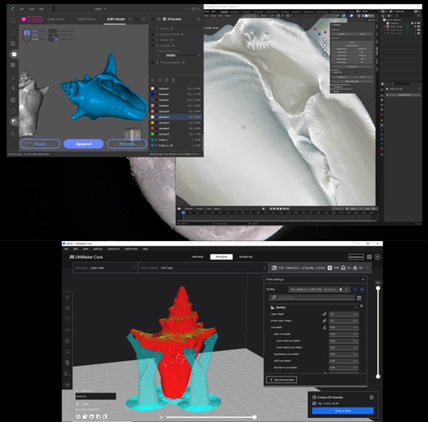 Miniatura 4 do modelo 3D Scanned Seashell