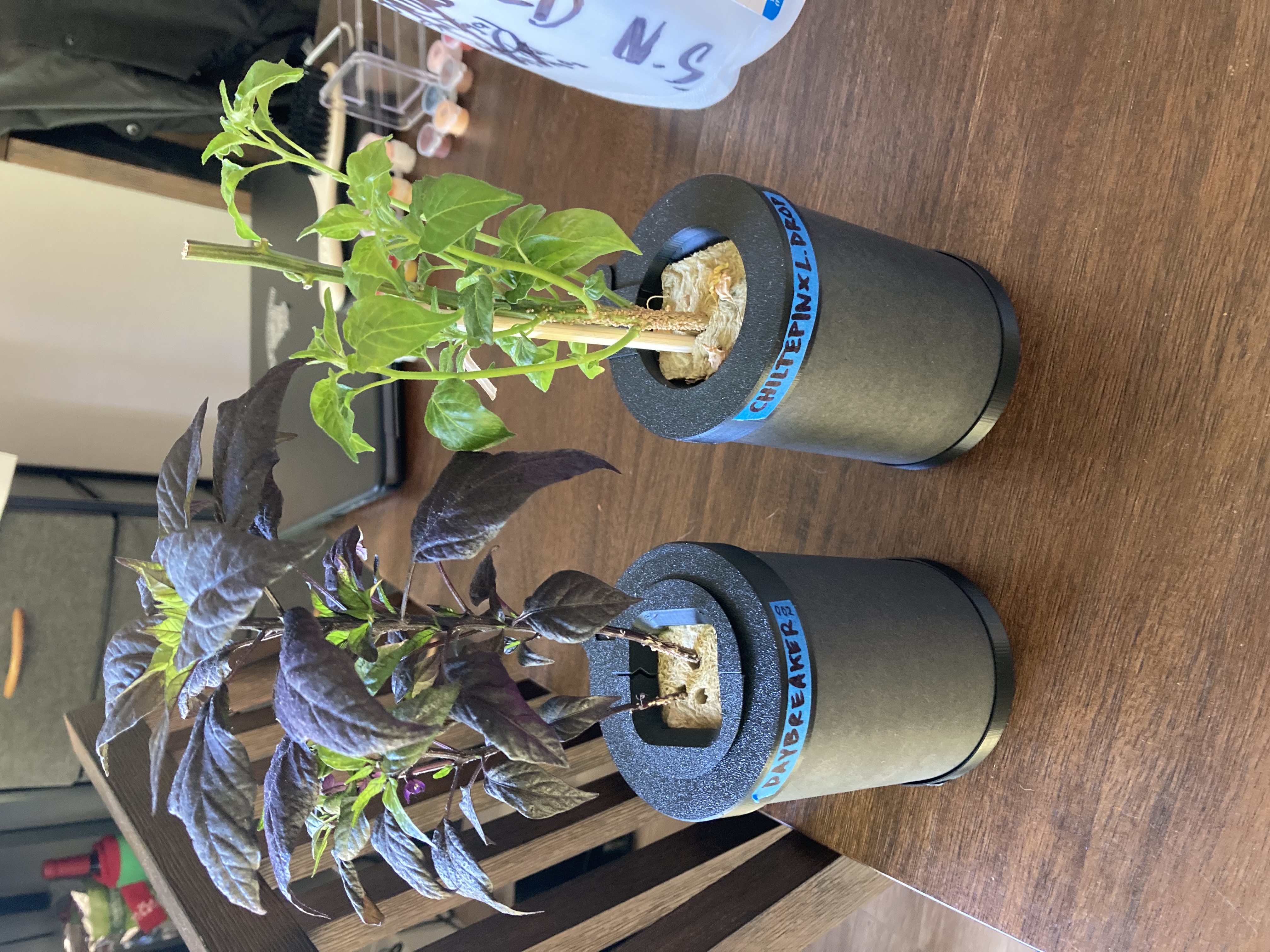 Hydroponic Net Cup and Enclosure