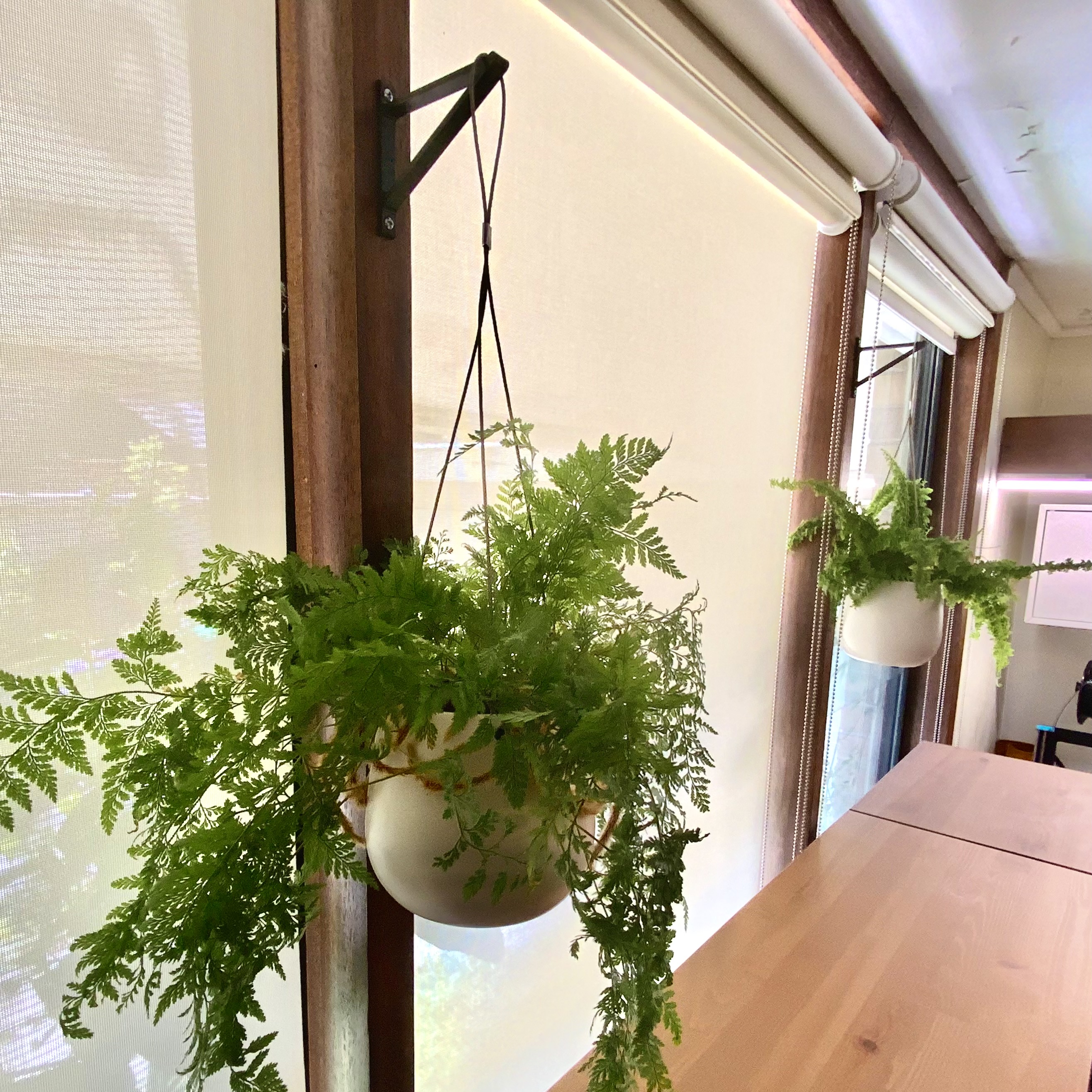 Hook for Hanging Pots and Planters - Parametric