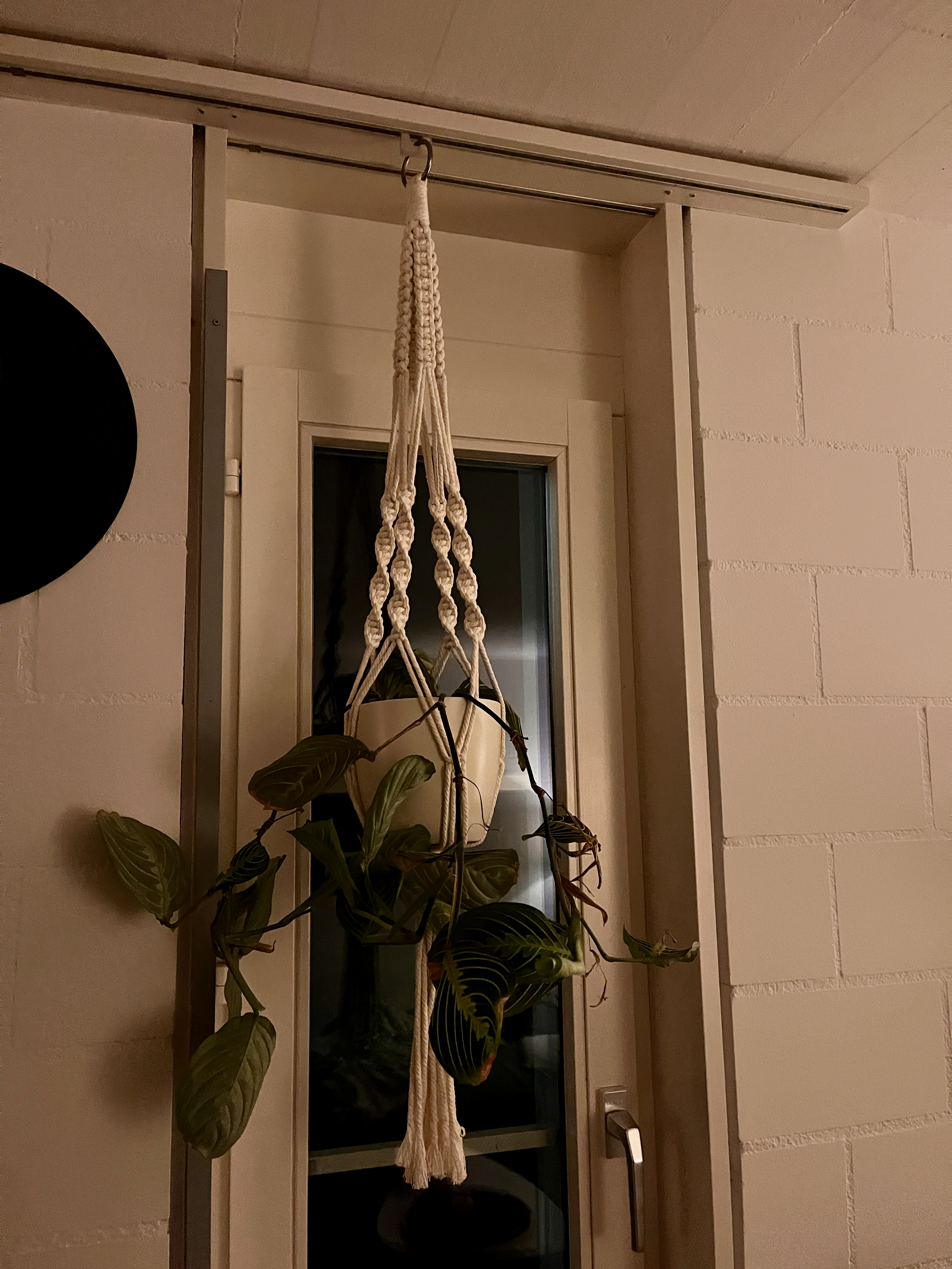 Hanging Plant Glider