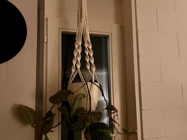 Hanging Plant Glider