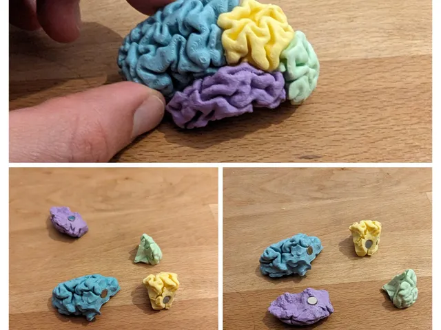 Brain in Parts