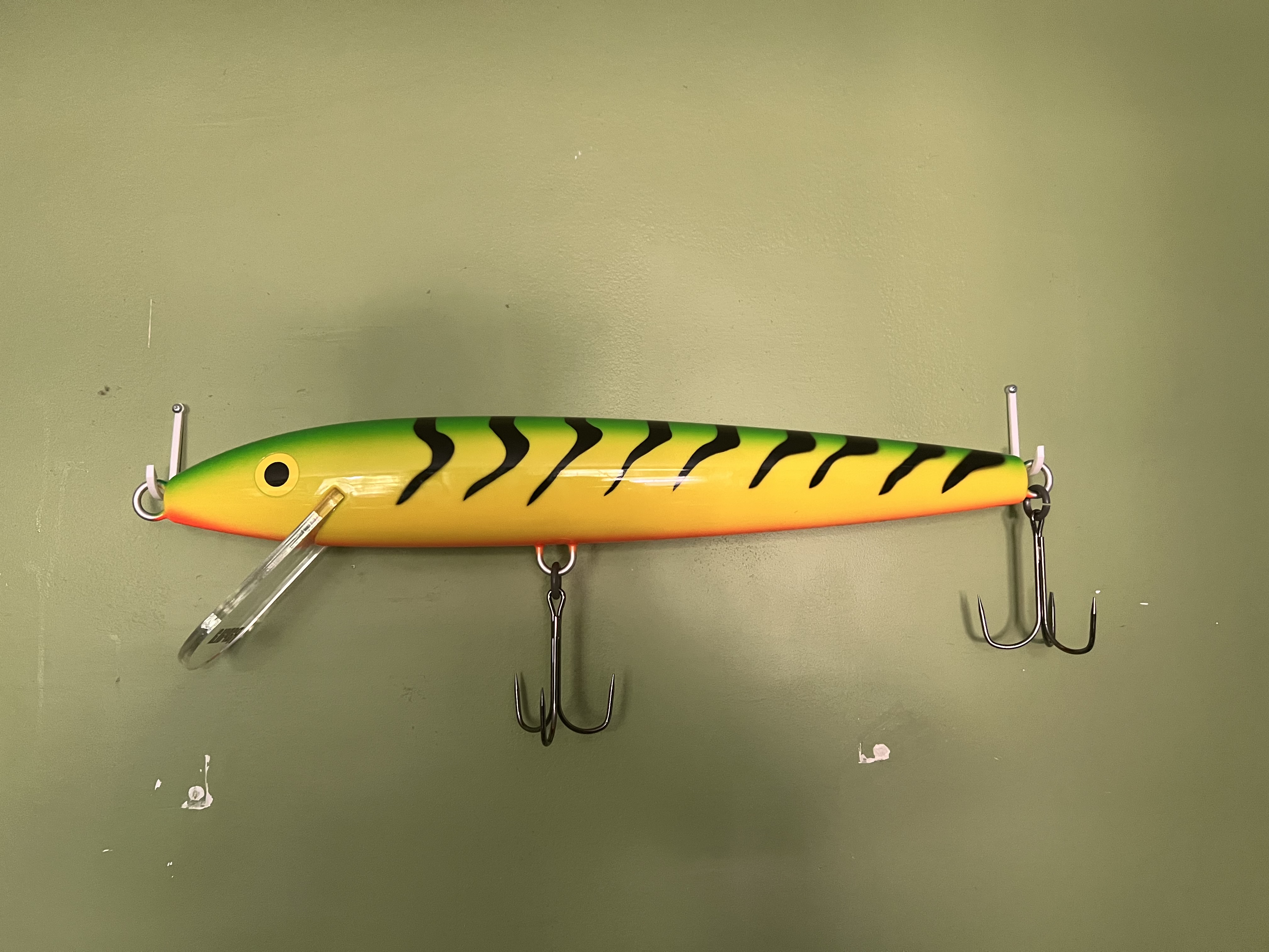 giant rapula holder