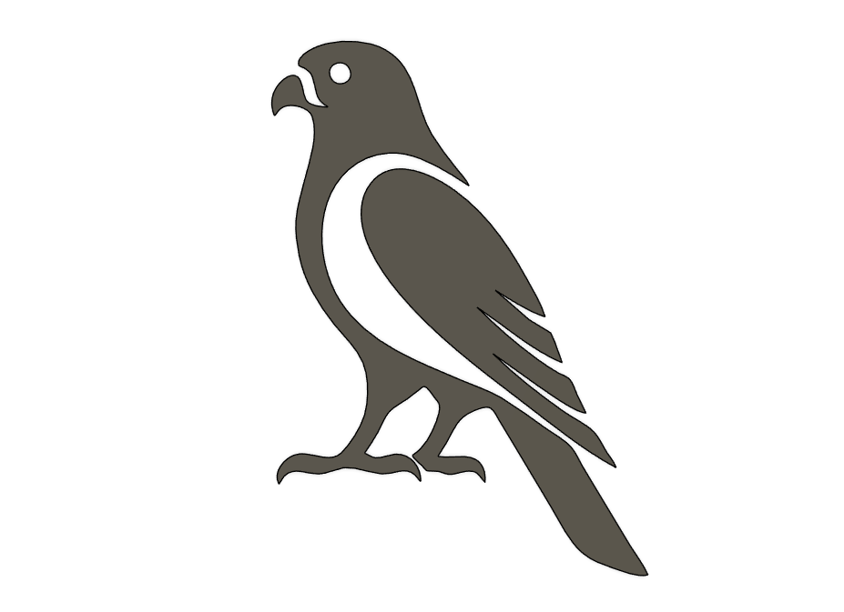 Falcon Wall Art