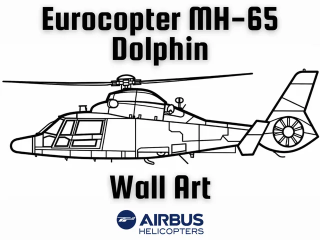 Eurocopter MH-65 Dolphin Wall Art
