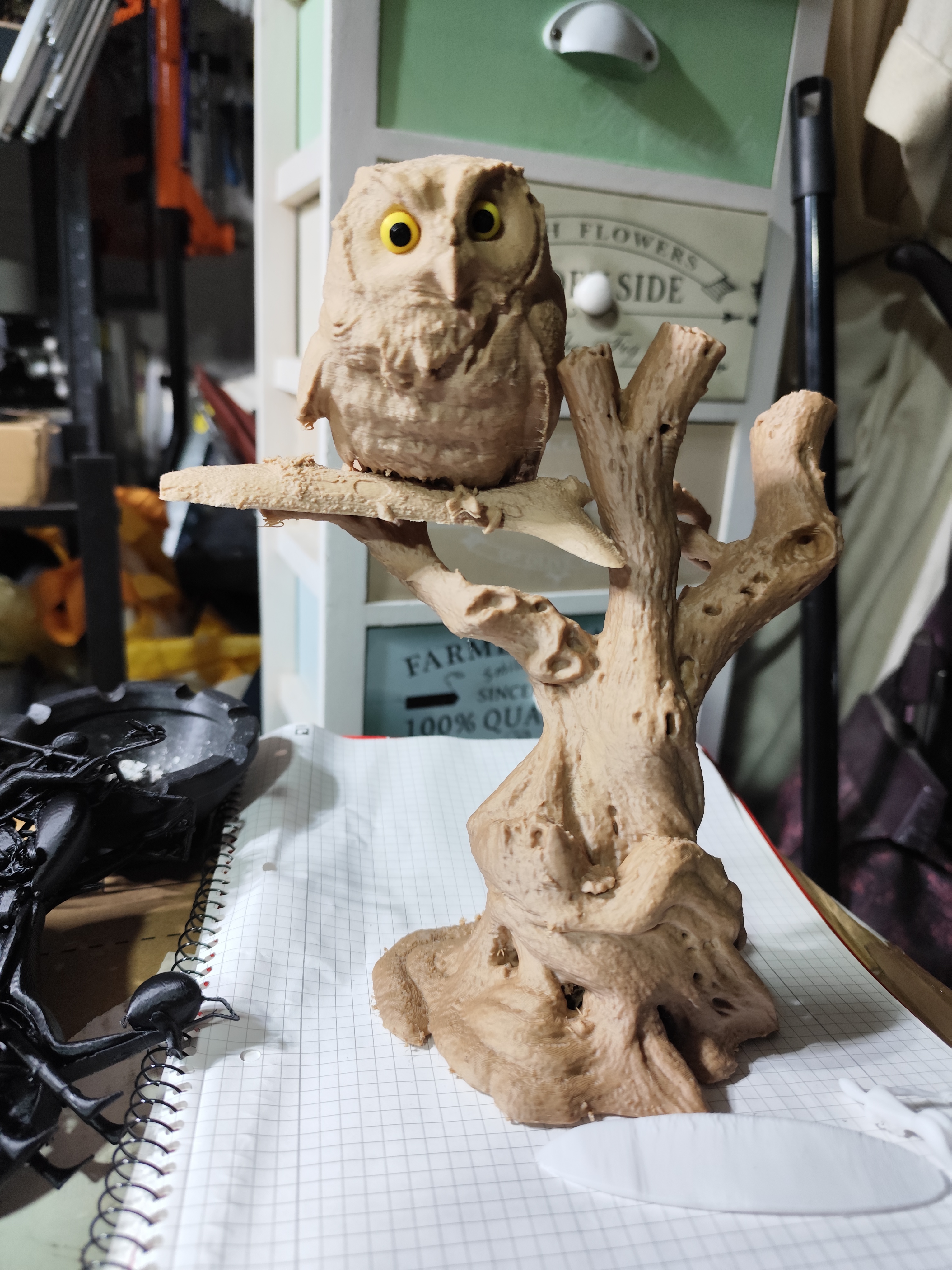 olive tree — thumbnail 5