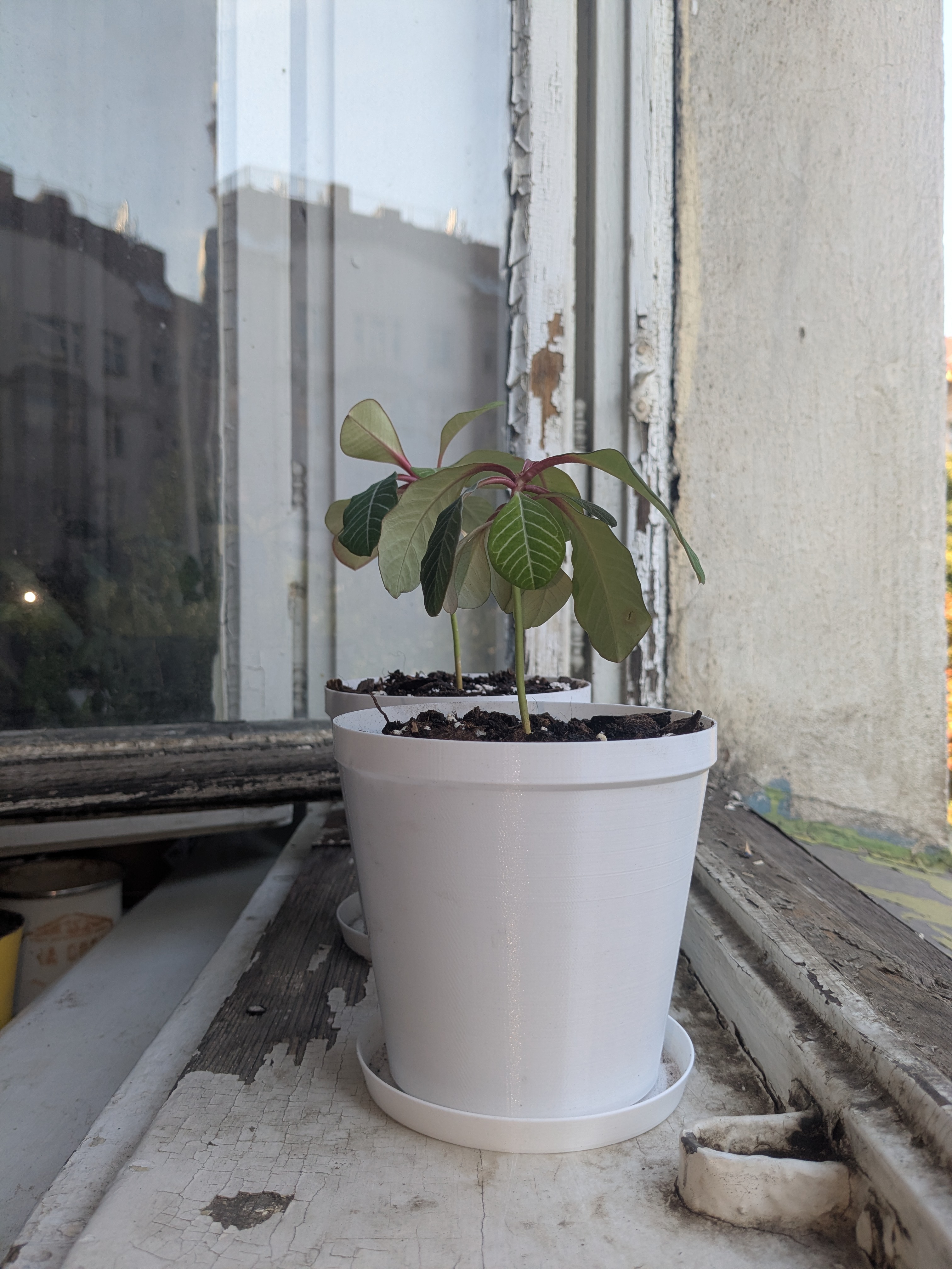 Simple pot