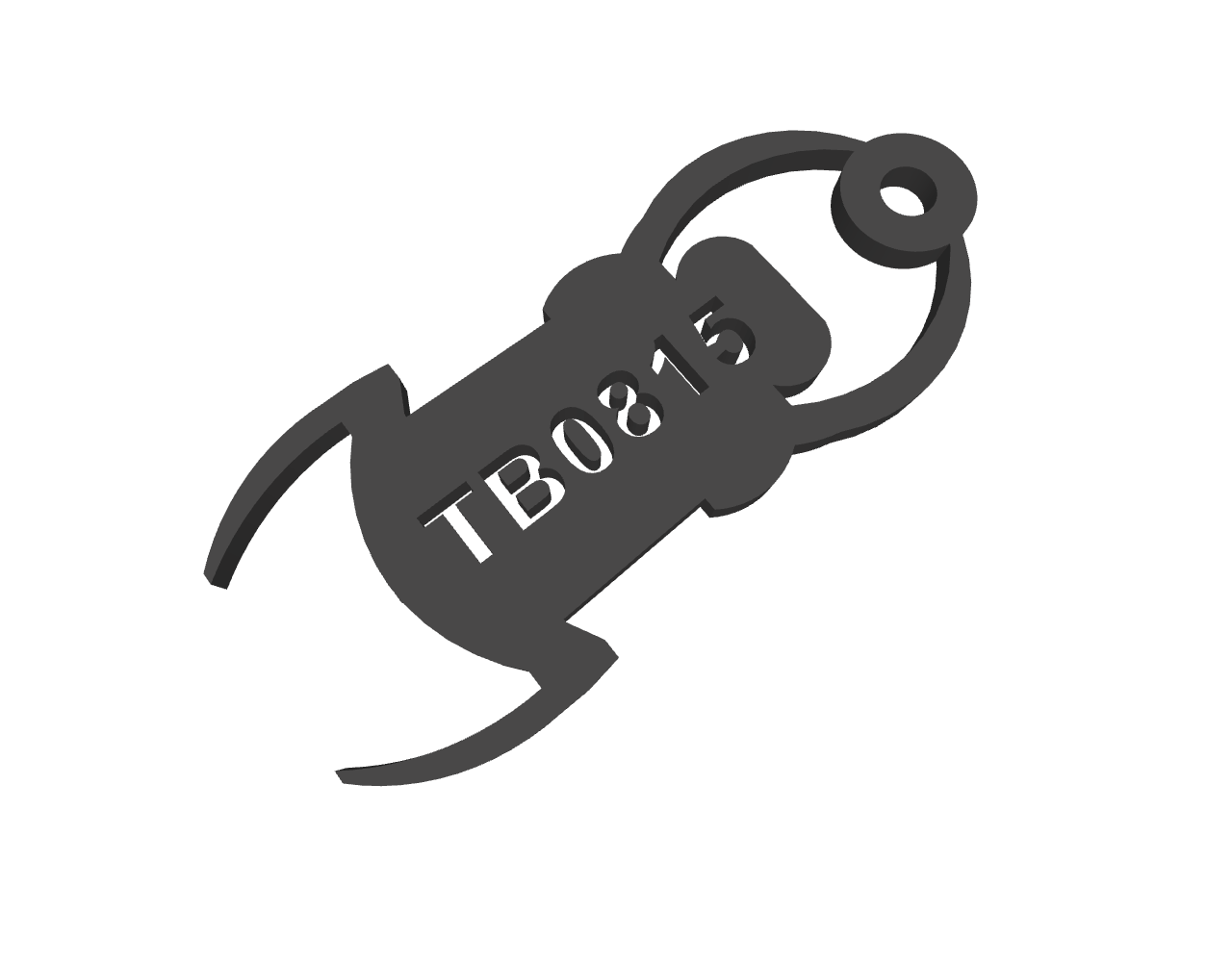 Travel Bug / Trackable (customizable)