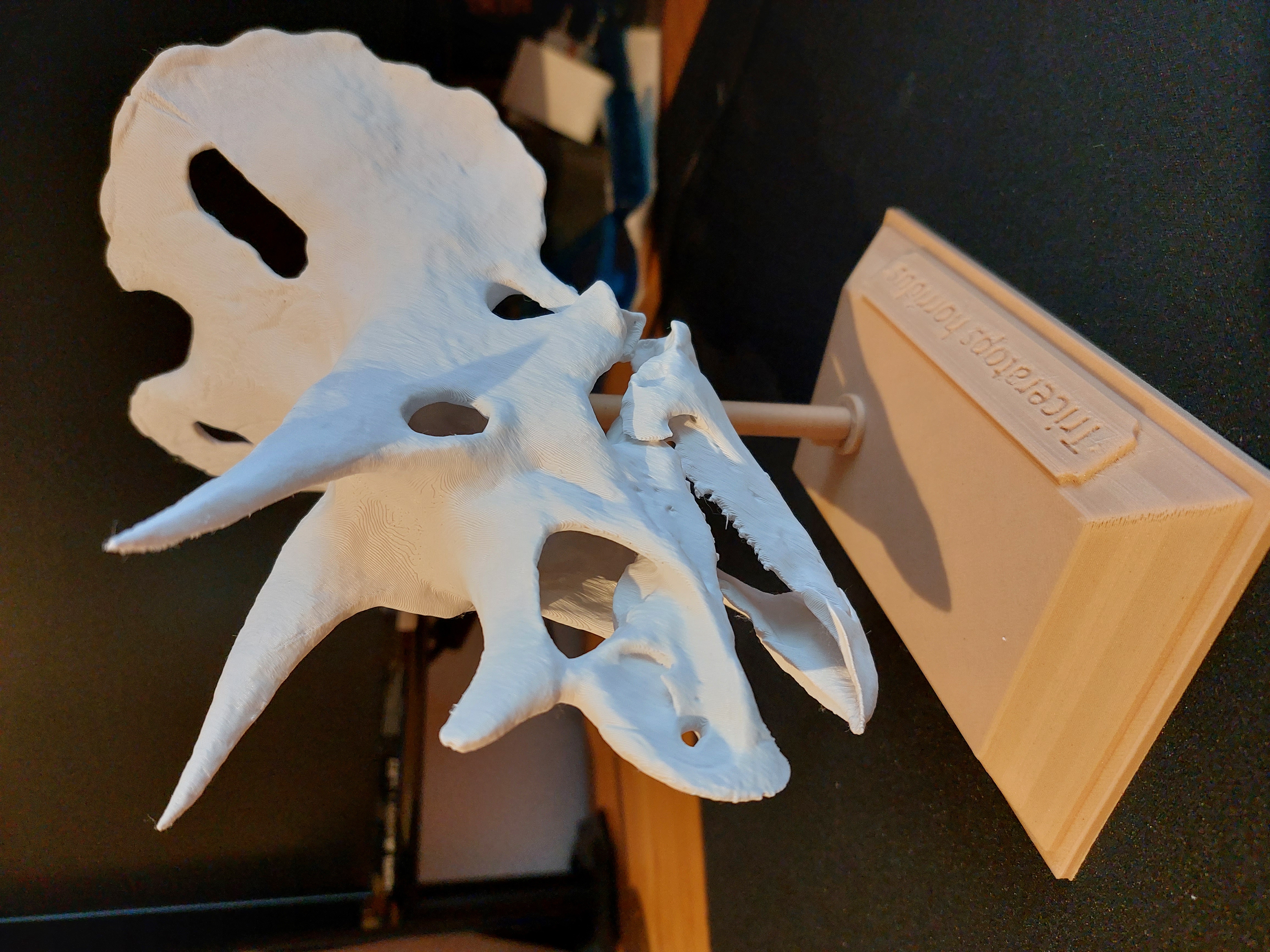 Triceratops Stand