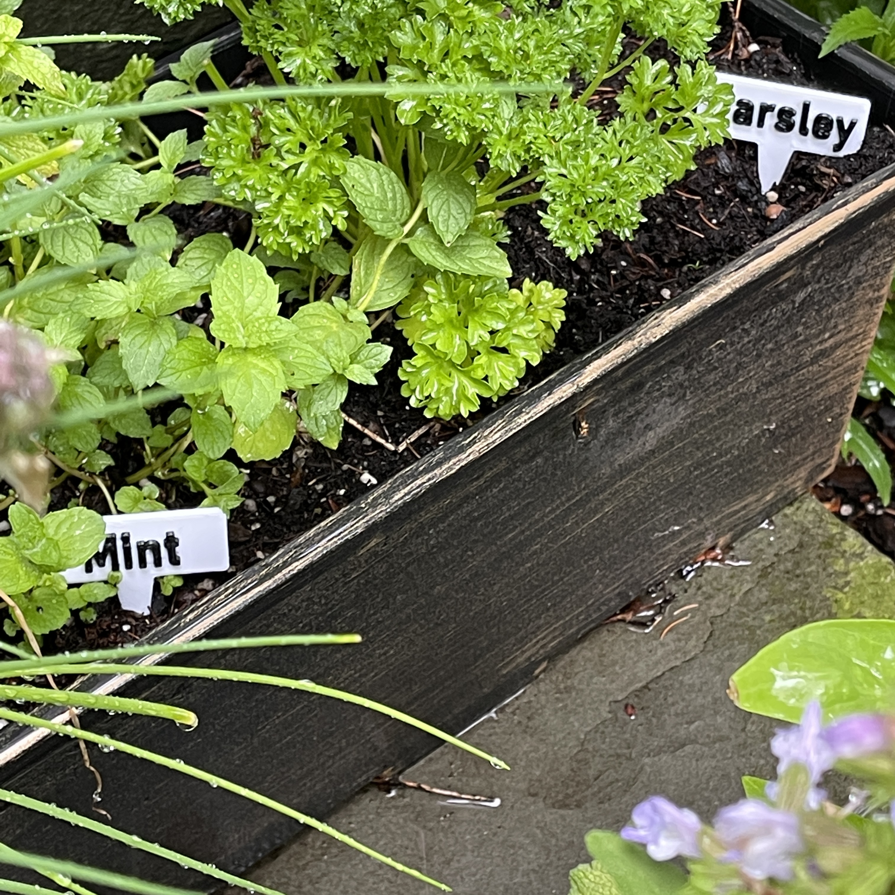 Miniatura 2 do modelo 3D Customizable Plant Labels