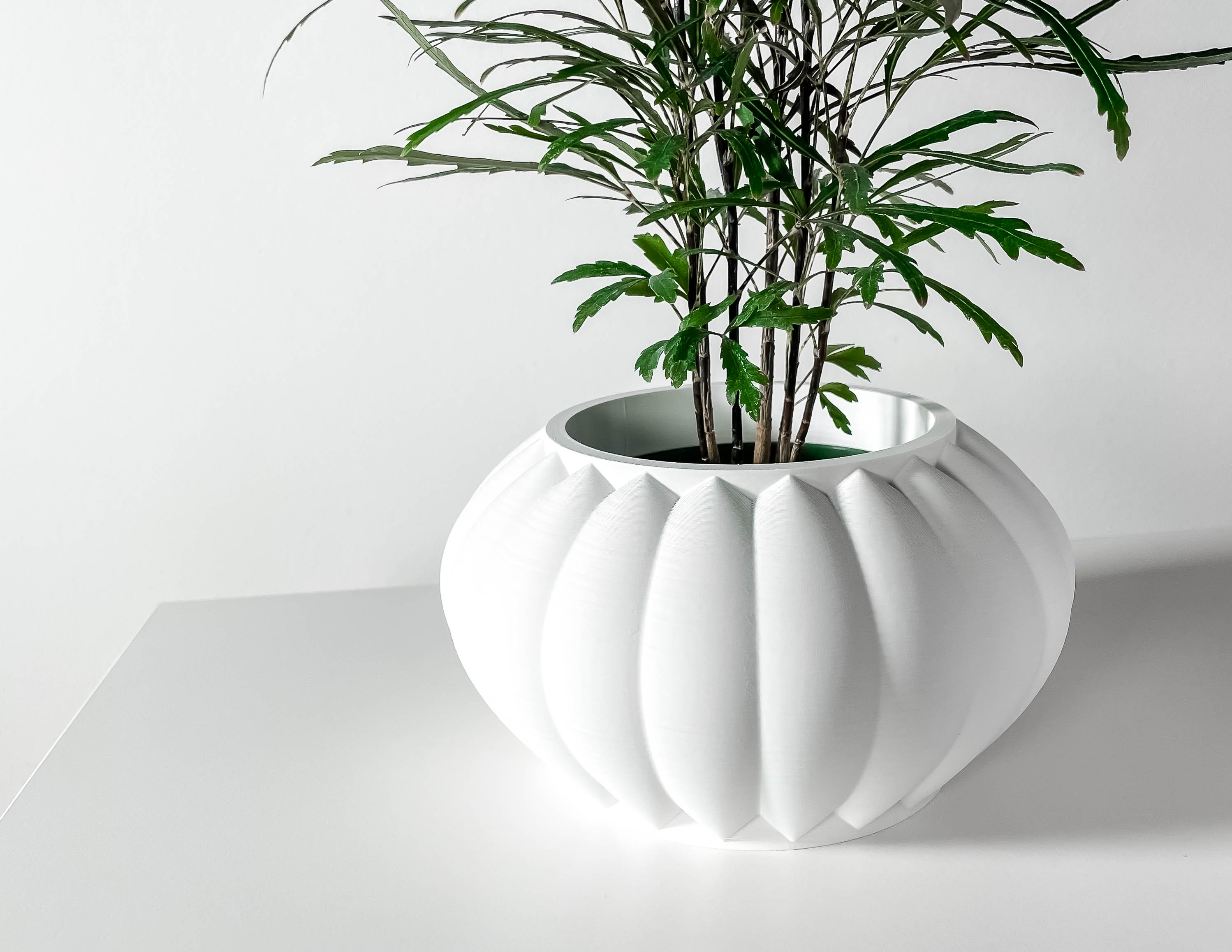 The Bunos Planter Pot with Drainage: Tray & Stand Included | Modern and ...