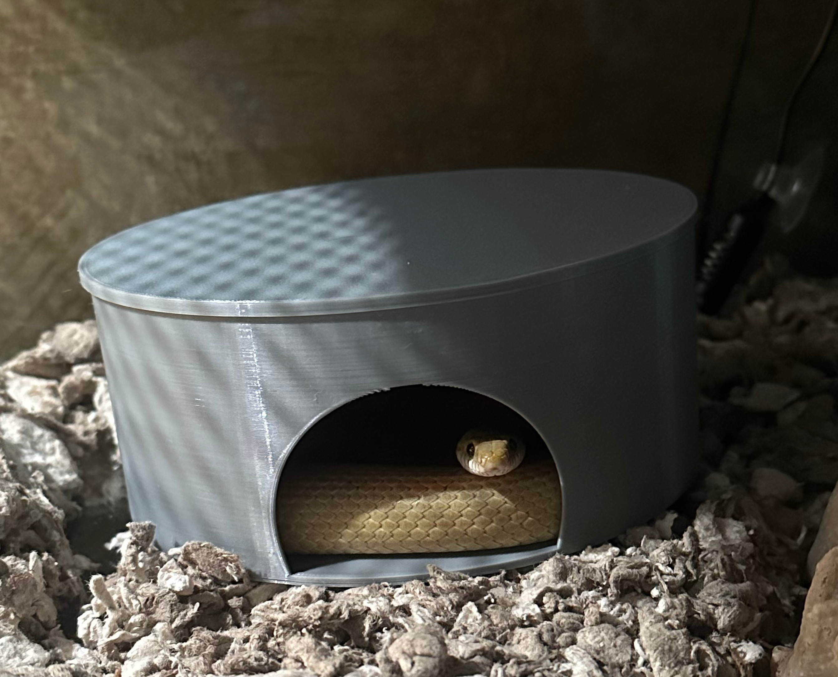 Miniatura 3 do modelo 3D Snake Hide