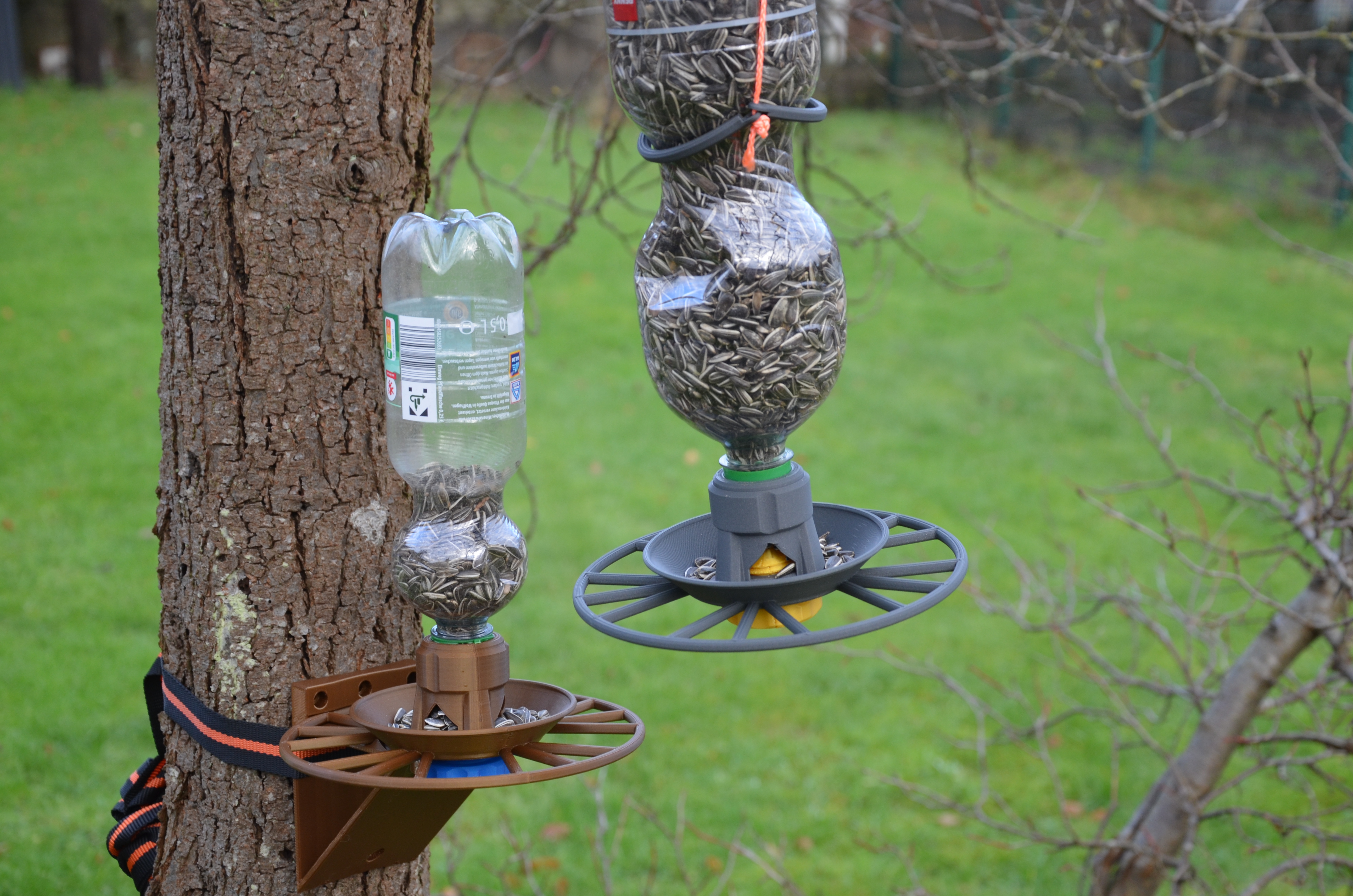 Bird Feeder