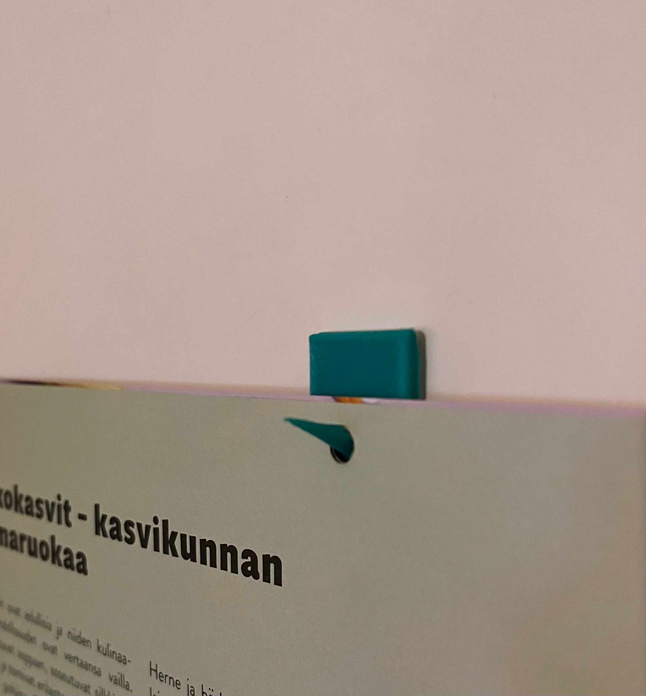 Wall hook