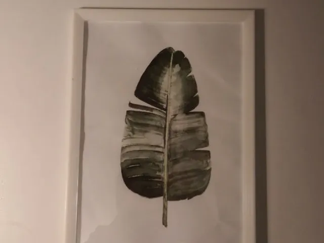 Picture frame