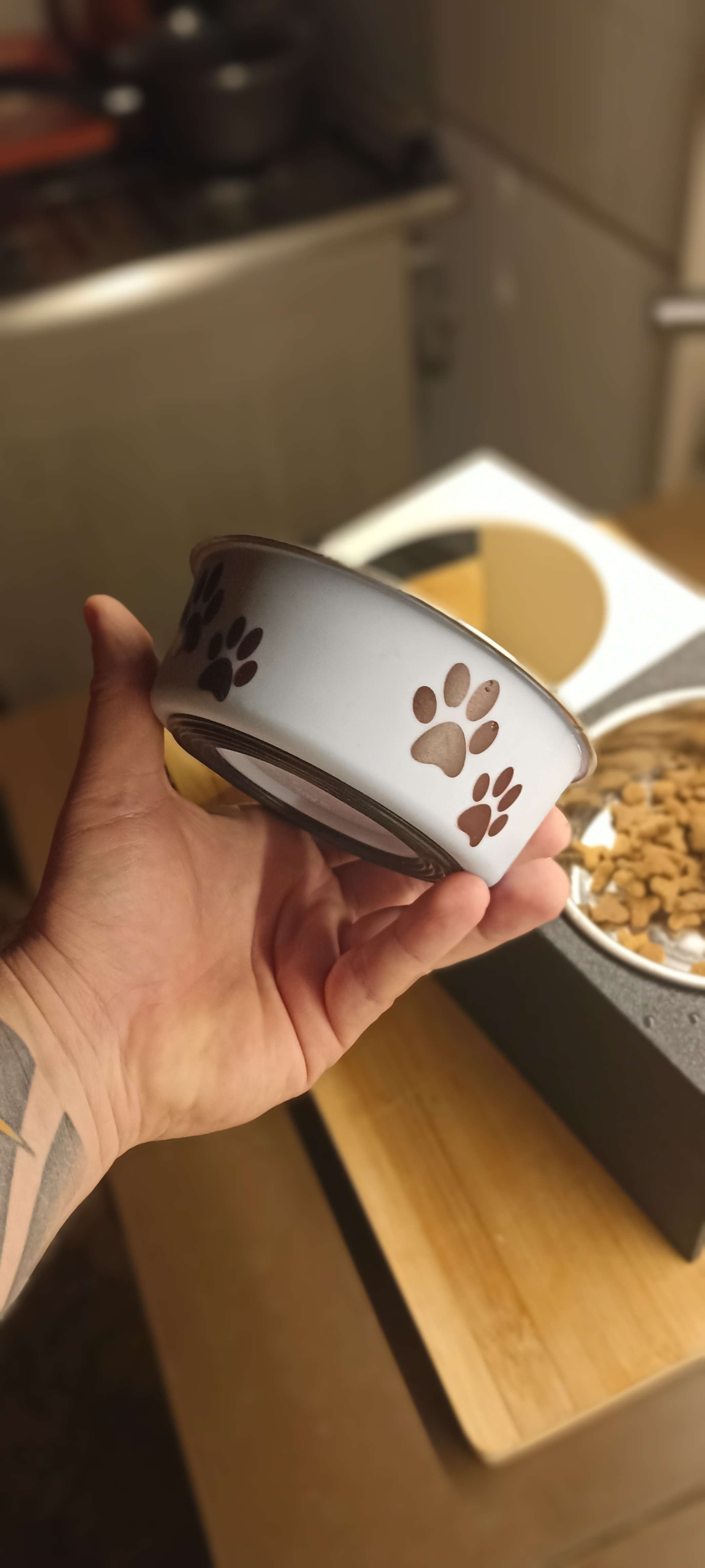 Miniatura 2 do modelo 3D Cat bowl riser