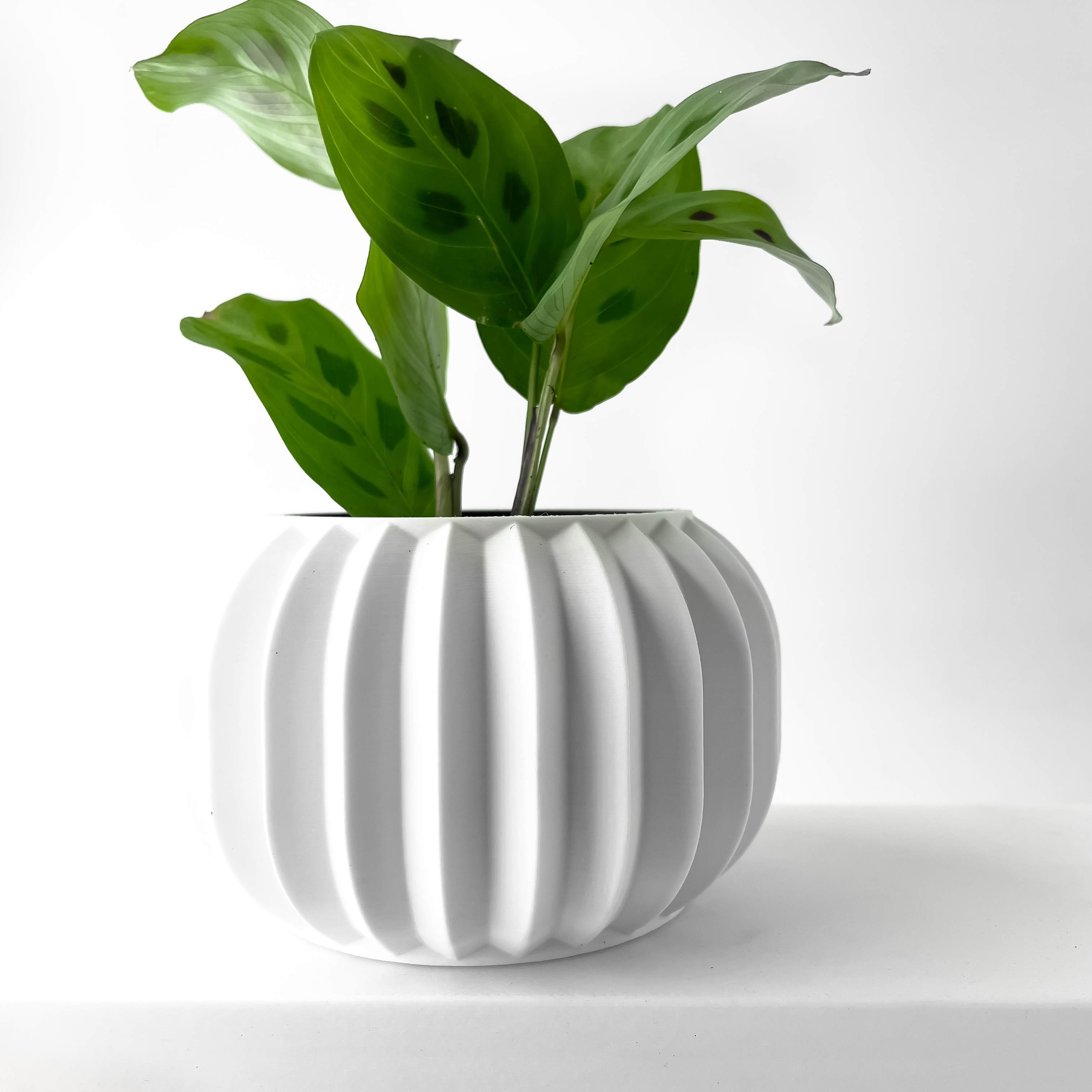 The Olin Planter Pot with Drainage: Tray & Stand Included | Modern and ...