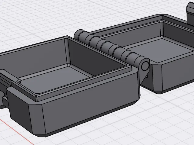 Ear Plug Case