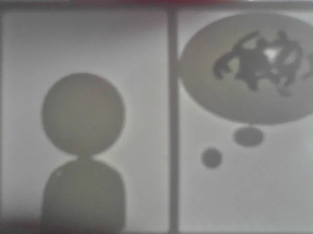 Problem Window From Tomodachi Life