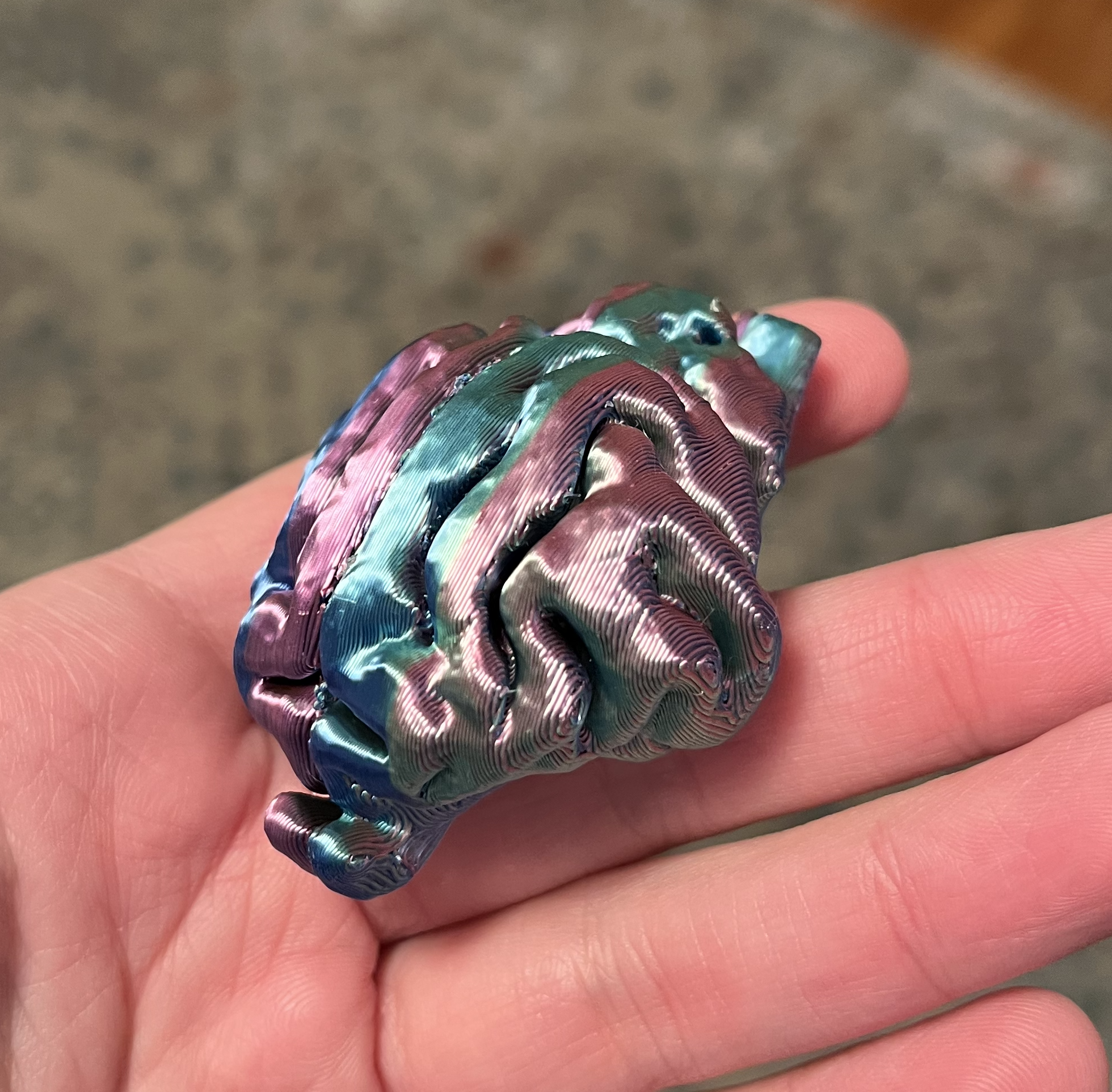Cat Brain Bank