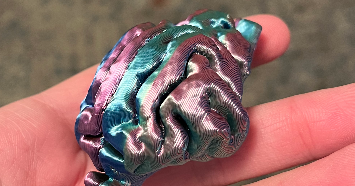 Cat Brain Bank by SamaraMo Download free STL model