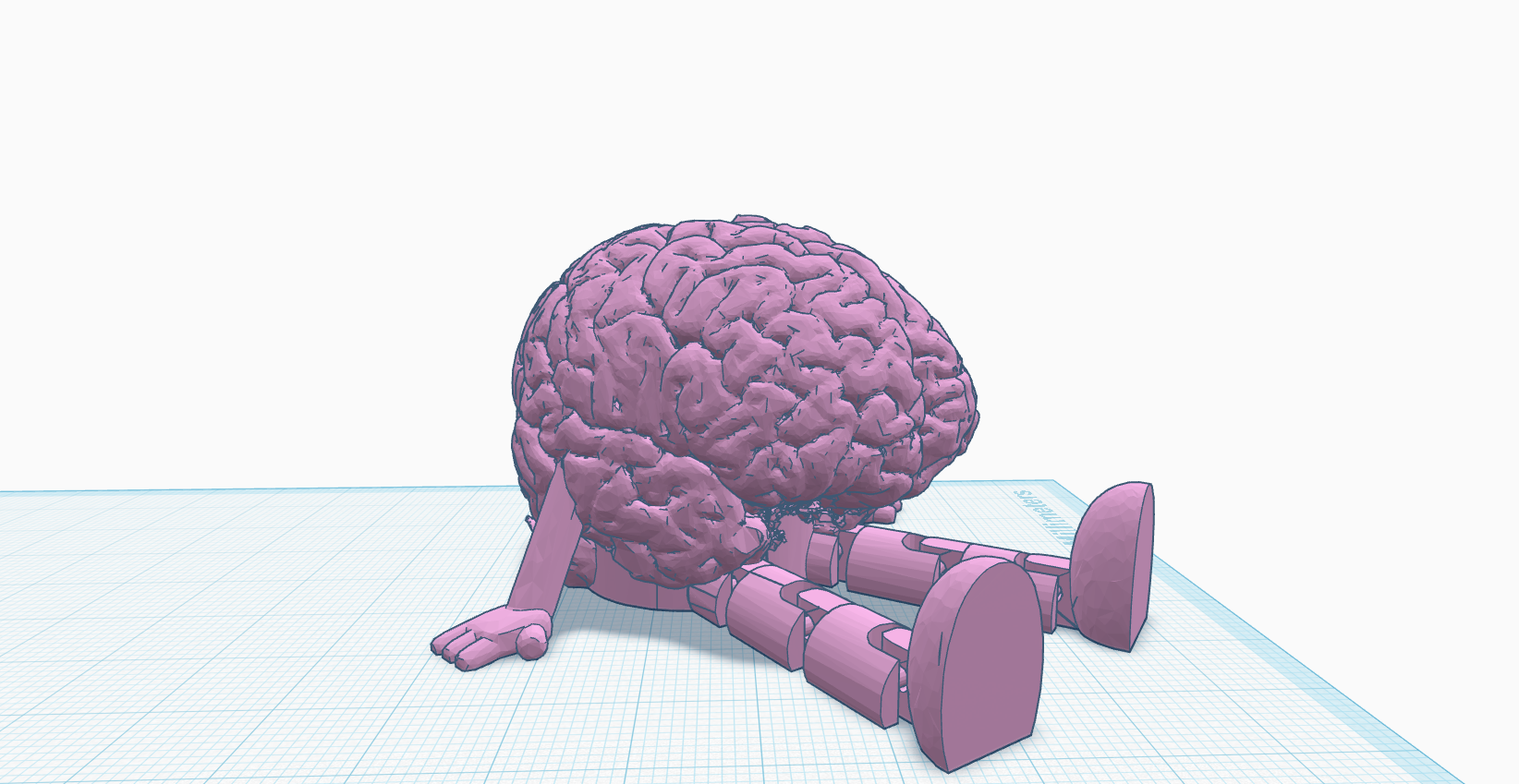 Little Brain Guy