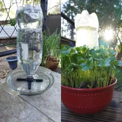 Coke Bottle Adapter for Hydroponics (Gravity Fed, Self-Watering)